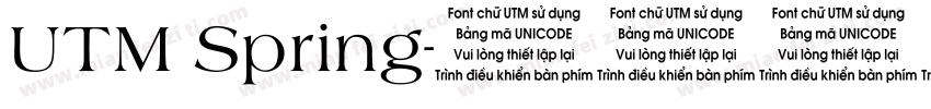 UTM Spring字体转换